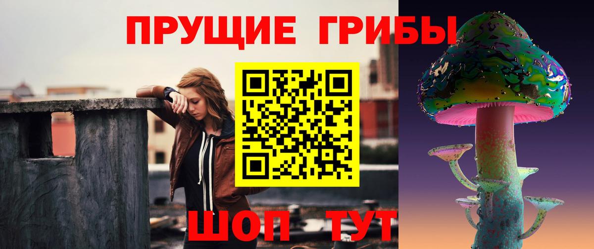 Галлюциногенные грибы GOLDEN TEACHER Коряжма
